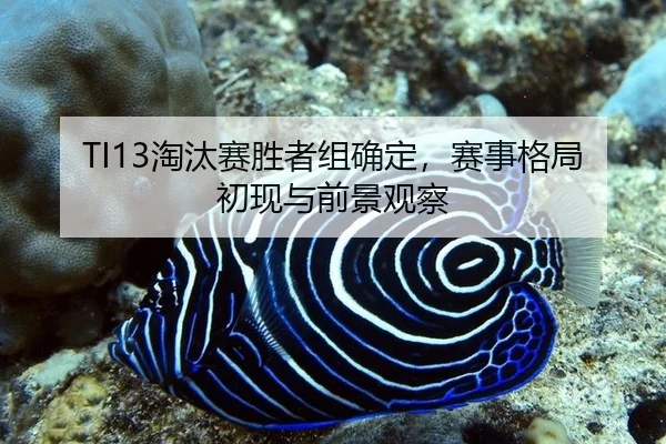 TI13淘汰赛胜者组确定，赛事格局初现与前景观察